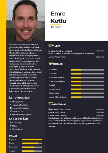 cv indir